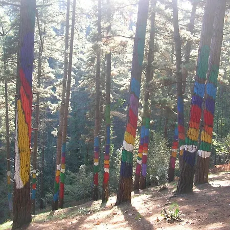 컨트리하우스 Ogono Mendi *